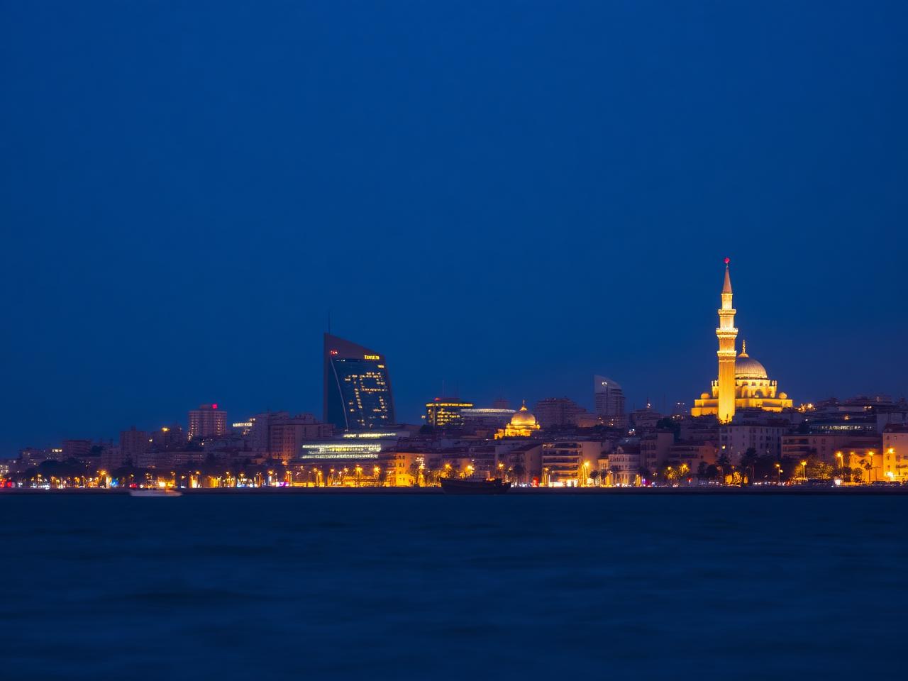 Vie nocturne — vue d'ensemble